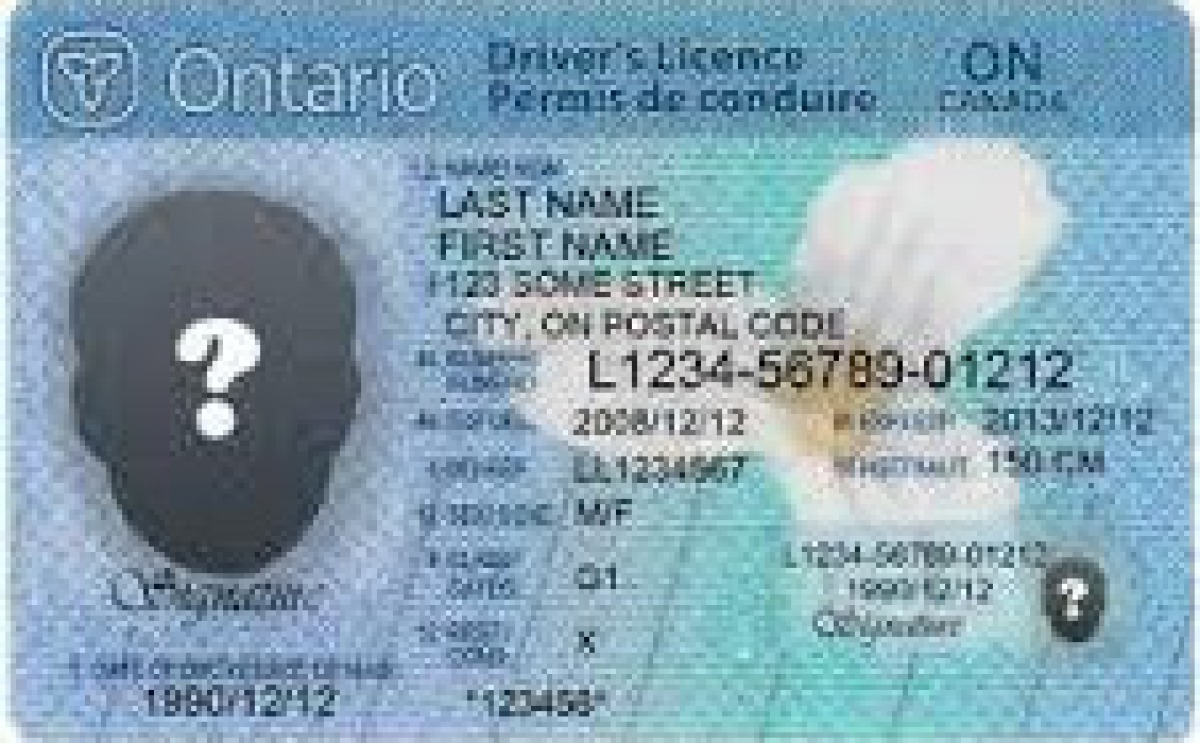 License name. Ontario Driver License. Canadian Driver License.
